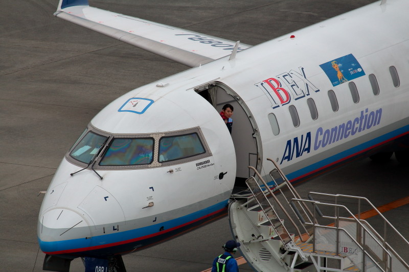 宮崎空港、お客様早く来ないかなとヤキモキ。一方パイロットは俺を撮ってと見ているように見える。