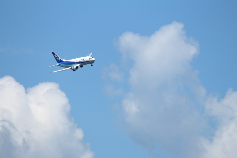ｂ737－500型飛行機が宮崎空港に着陸する画像