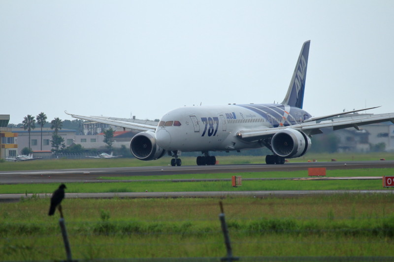 Ｂ787初号機が宮崎空港にやってきた。