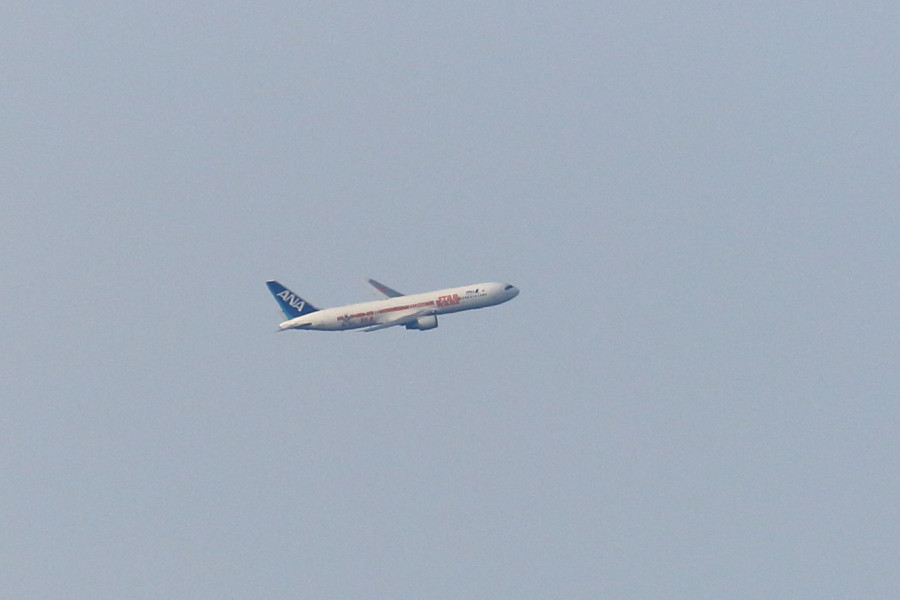 全日空スターウォーズ特別塗装機のB767飛行機