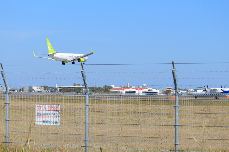 宮崎空港に着陸するソラシド機が琴線に触れてよかった。