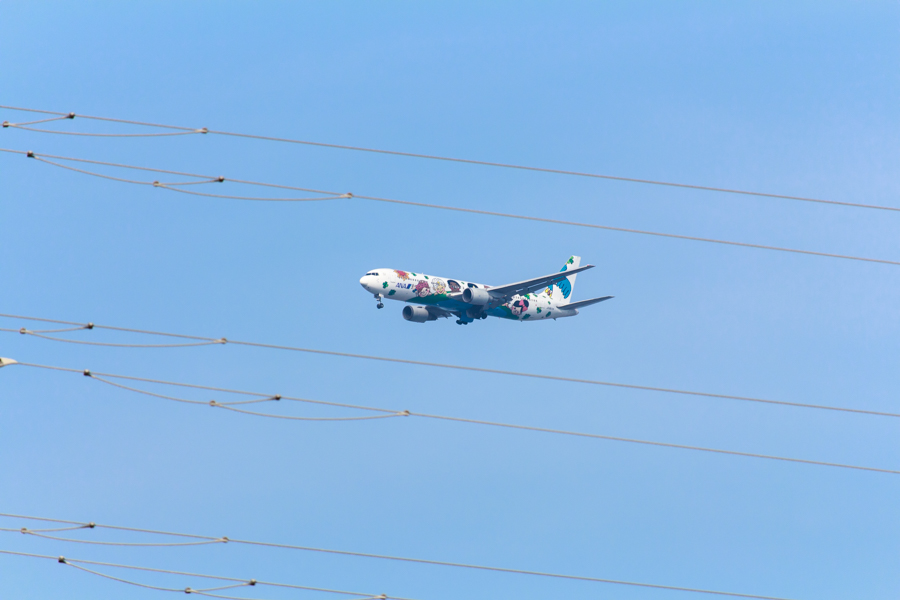 ANAの夢ジェットは宮崎空港に向かってアプローチ中