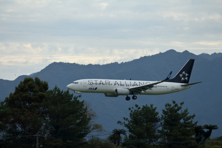 スターアライアンス塗装の全日空飛行機
