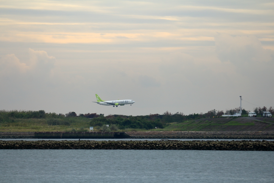 宮崎空港を大淀川左岸から眺めてみた。ソラシドエア機が着陸するところ