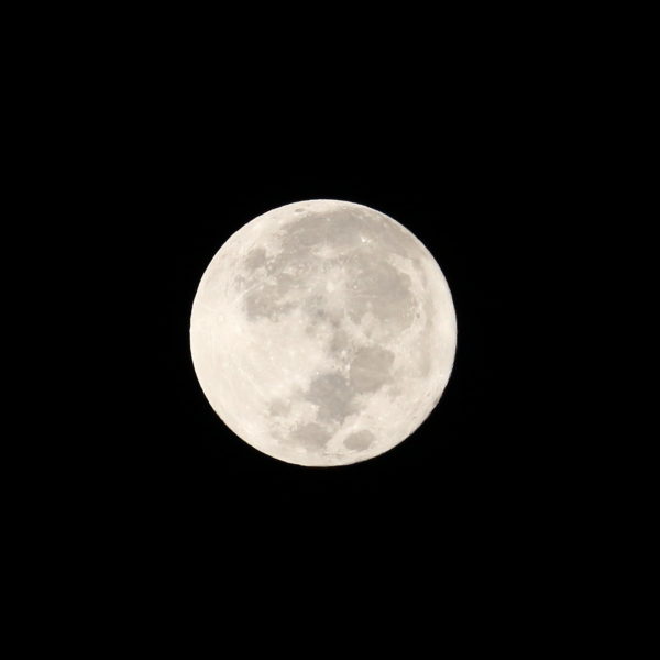 2016年11月14日地球に接近した満月