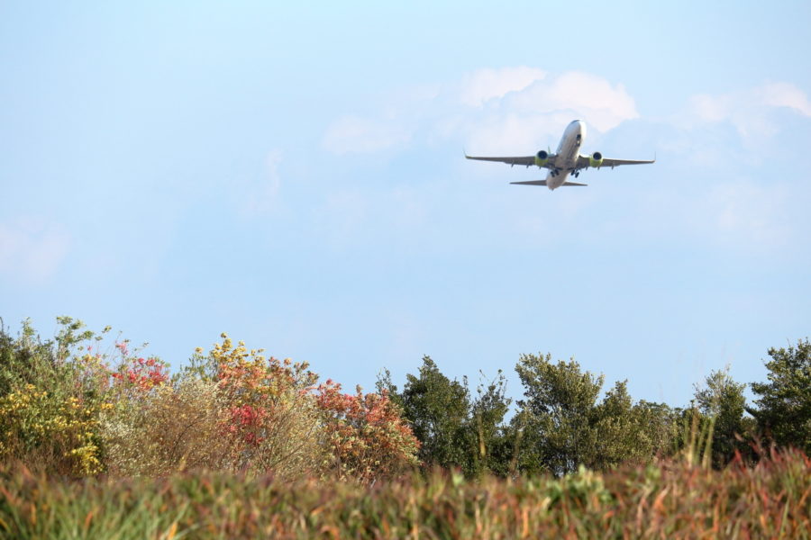 宮崎空港周囲に残ったわずかの紅葉、彩がうれしい