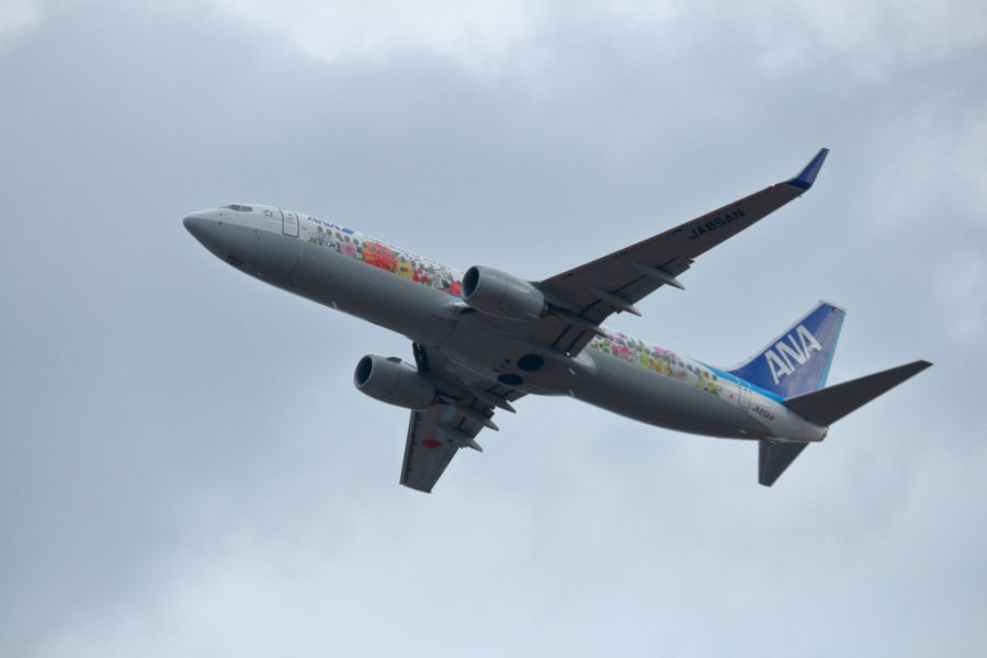 宮崎空港に来ていたANAフラワージェット