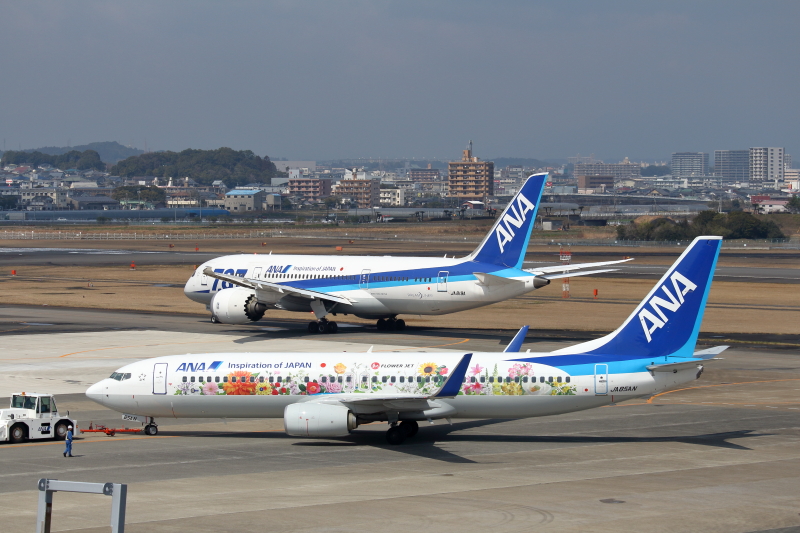 宮崎空港にそろったB787とはなジェット