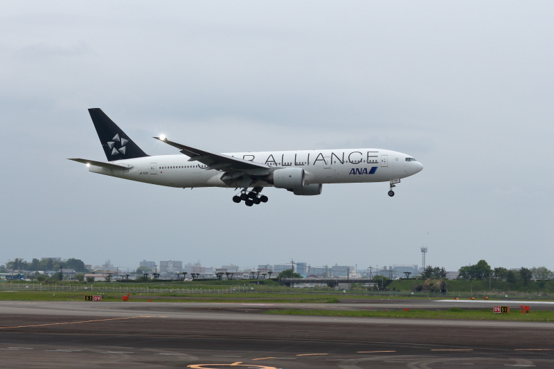 宮崎空港にやって来たスターアライアンス塗装のB777