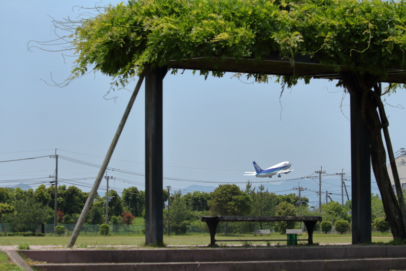 宮崎空港を離陸したANA機スーパードルフィン