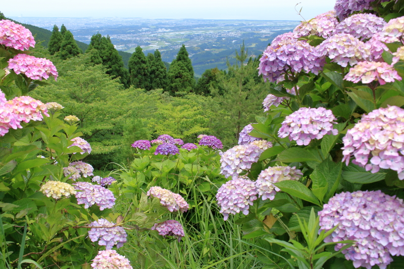 荒平山森林公園から望む宮崎平野と太平洋