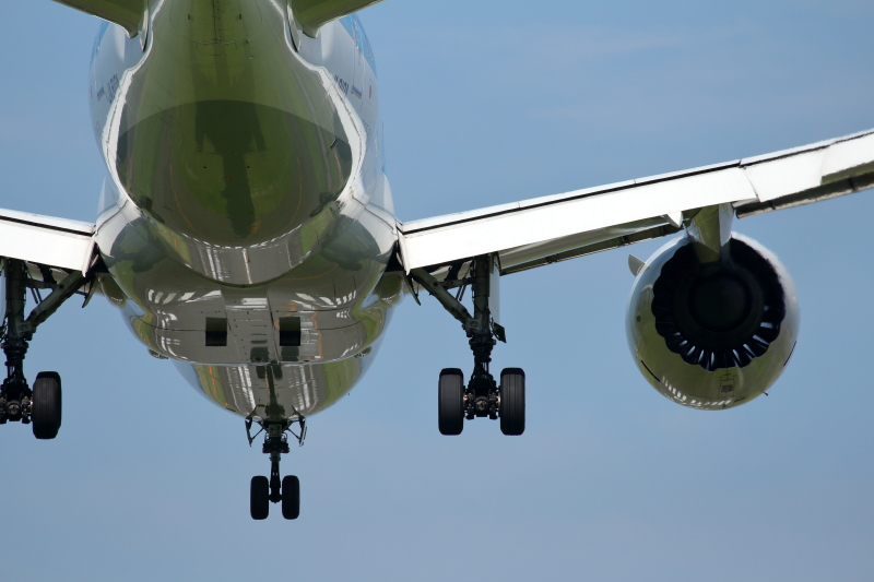 B787飛行機はボディーが大きいので撮りやすい機種だ