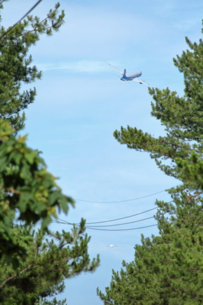 宮崎空港を東に向かうB787型飛行機