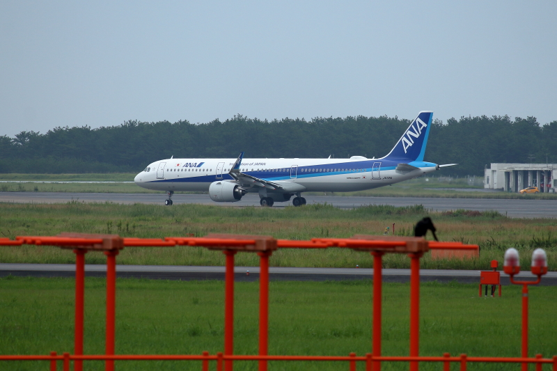 宮崎空港にANAのエアバスA321neo機が到着した飛行機の写真