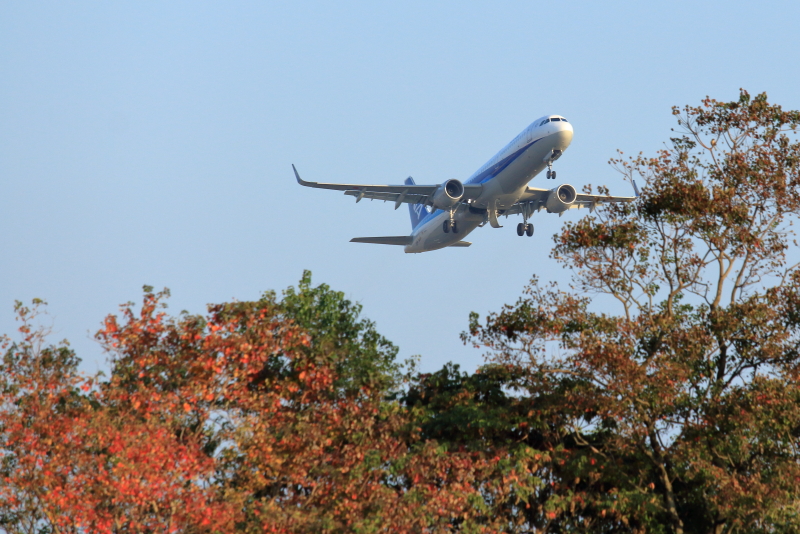 宮崎空港近くの秋色と飛行機