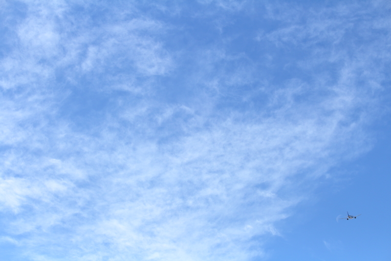 宮崎空港を離陸したANA機が地球の衛星に向かっていく画像