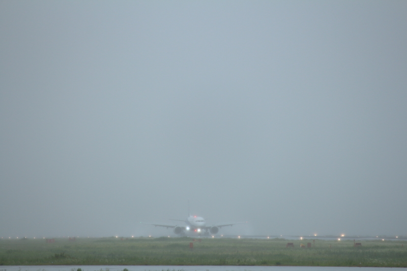 雨の中、宮崎空港に無事到着したANAの飛行機