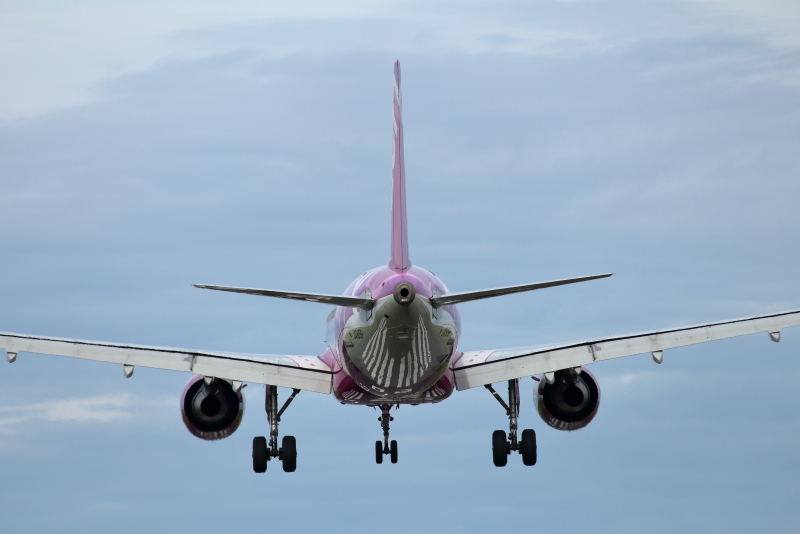 宮崎空港に着陸するピーチ機のお尻が素敵