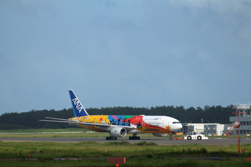 8月にも東京オリンピック特別塗装機が宮崎空港に来てくれた。