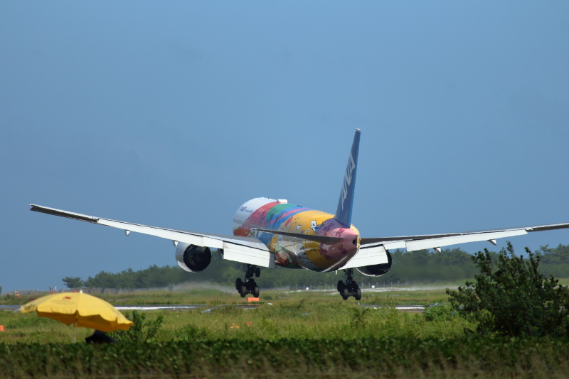東京2020オリンピック仕様機が宮崎空港にやって来た。