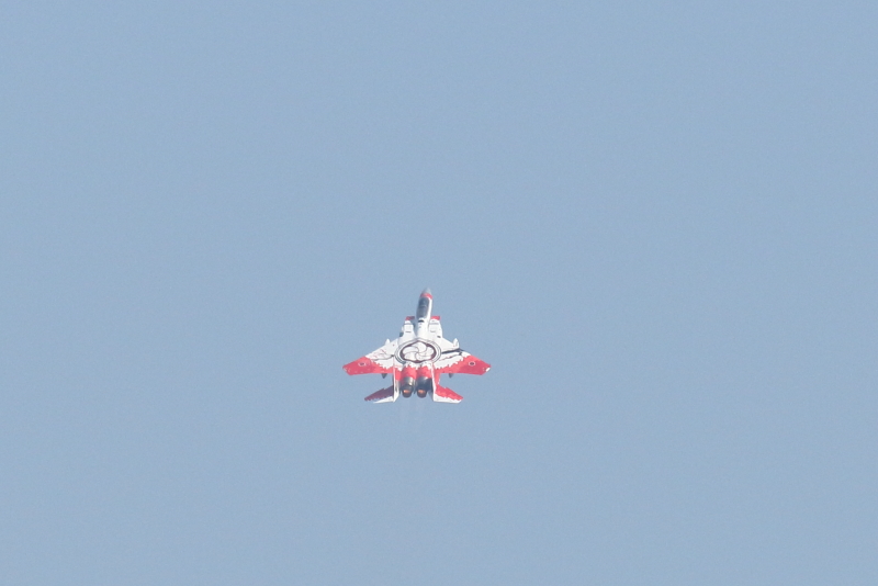 第305飛行隊の背中に特別塗装された大輪の梅が咲いた飛行機