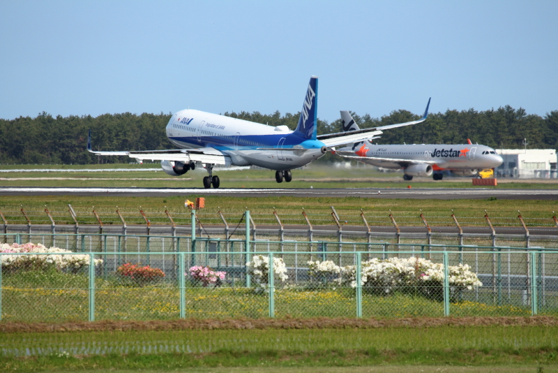 花々が咲き誇っている宮崎空港に着陸する飛行機