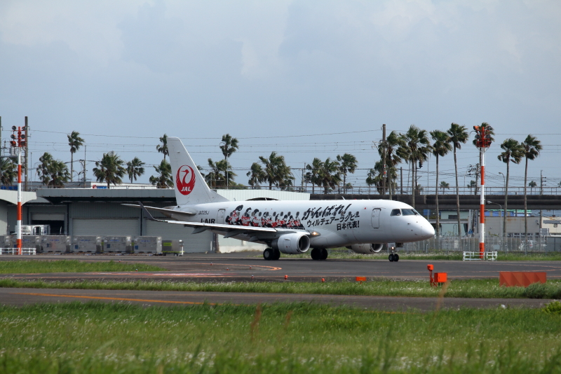 2019年ラクビーを盛り上げるJAL特別塗装機