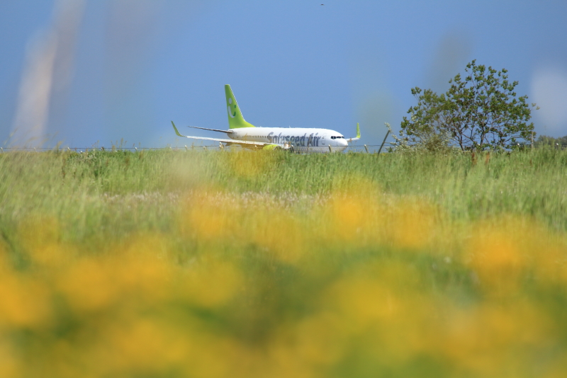 宮崎空港に到着したソラシド飛行機