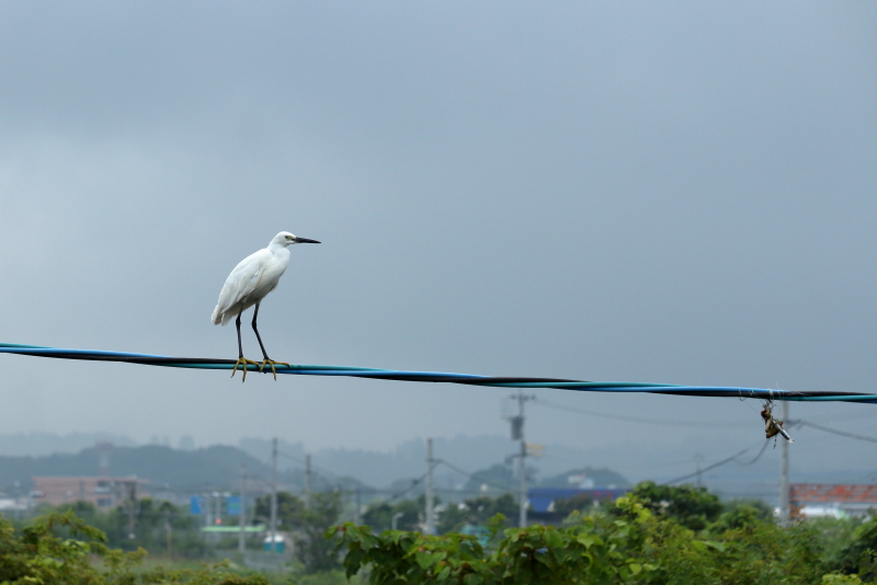 宮崎空港そばをを流れる山内川、どっちが本物