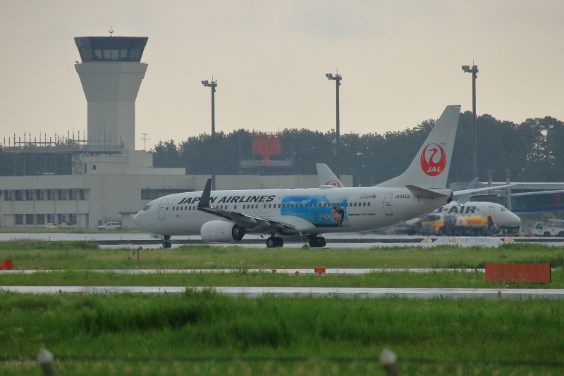 あの朝ドラのなつを映したJAL機が宮崎に来た。