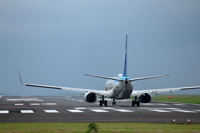 あちらこちらに花を咲かせているANAフラワージェットが宮崎空港に出没した。えっ