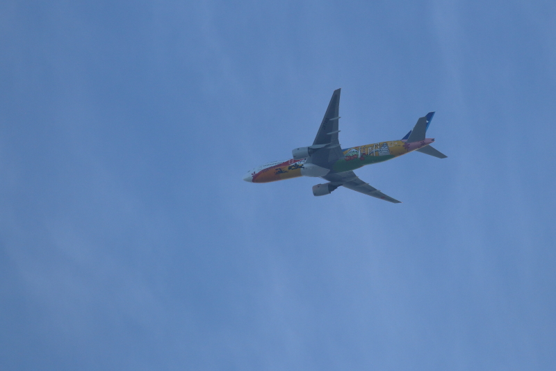 大晦日に宮崎を離れて東京に向かうANA東京オリンピック特別塗装飛行機