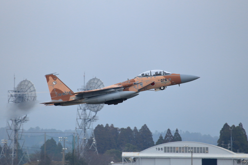 アグレッサー軍団の明るい柄のアグレッサー