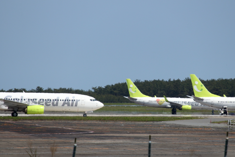 新型コロナウイルスの影響で宮崎空港には３機にのソラシドエアの飛行機がとまっている。
