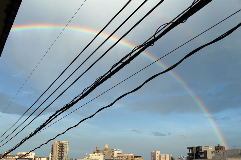 久しぶりに見た虹はなんだかラッキー。いいことがあればいいけど。