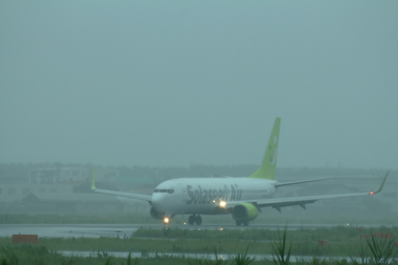 宮崎空港に就航する花形ソラシドエア機