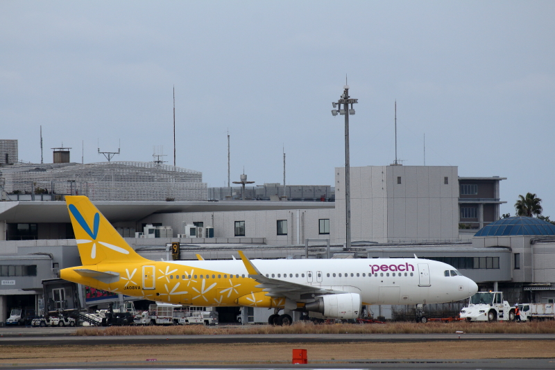 宮崎空港に旧バニラエアデザインのピーチエア特別塗装機