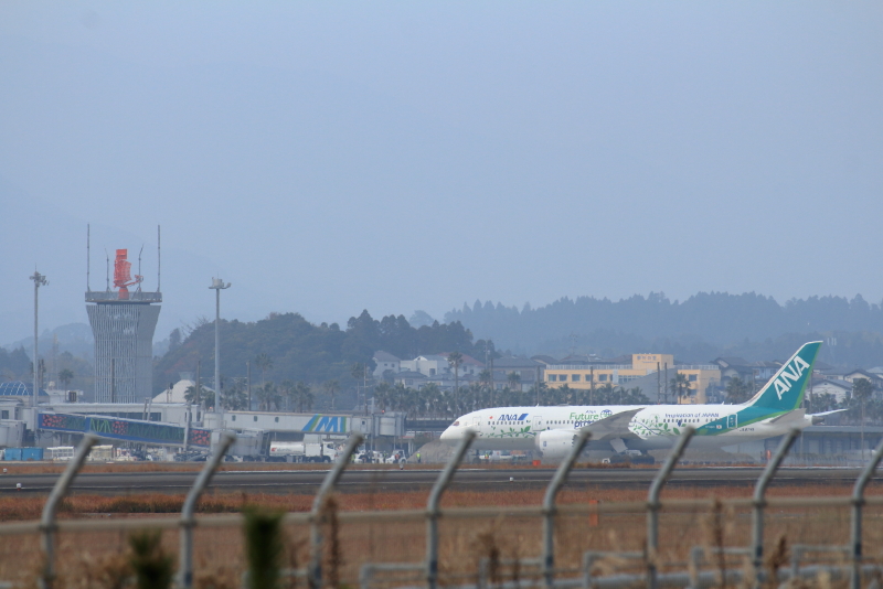宮崎空港にANAの特別塗装機が飛来