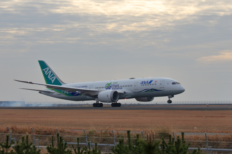 宮崎空港にANAの特別塗装機がやって来た