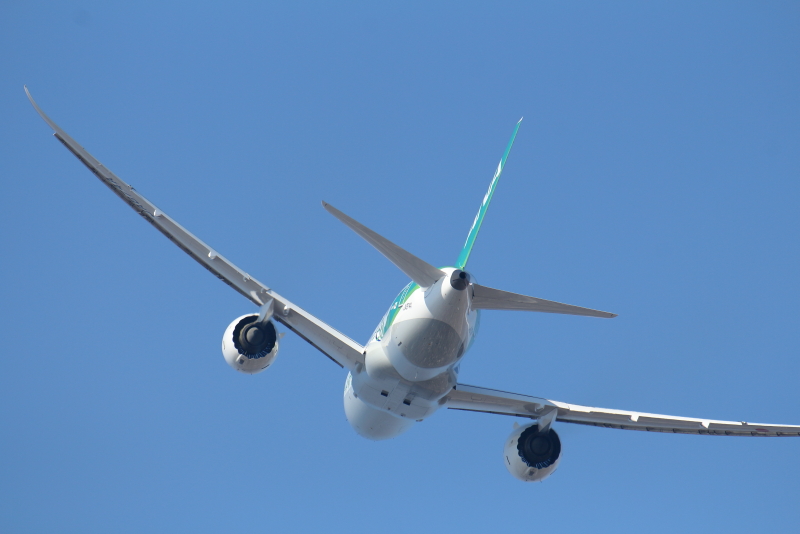 宮崎空港を離陸したANA　Ｂ787特別塗装機