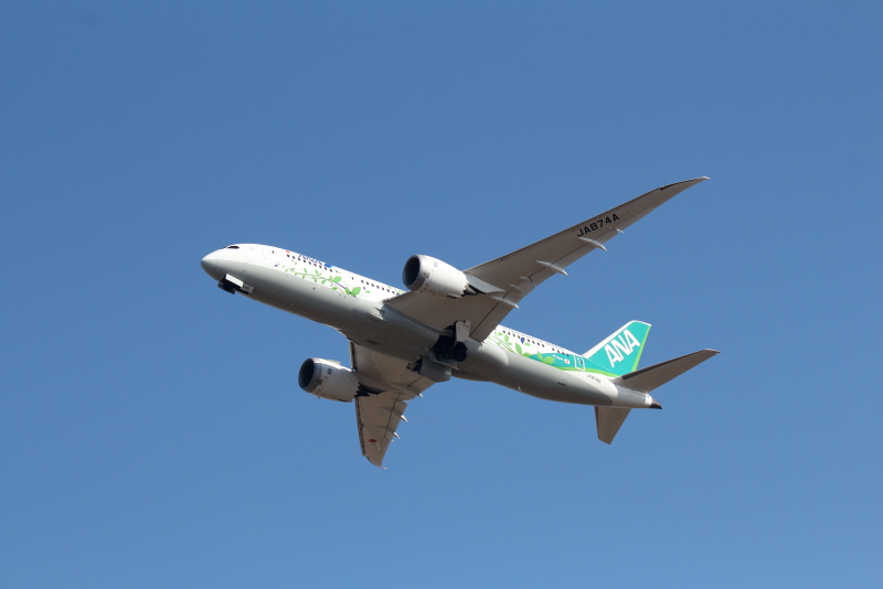 宮崎を離陸、羽田空港に向かうANAの特別塗装機