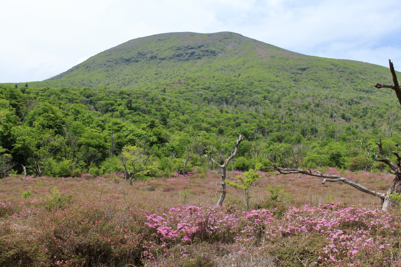 鹿ヶ原から見る深山キリシマと中岳